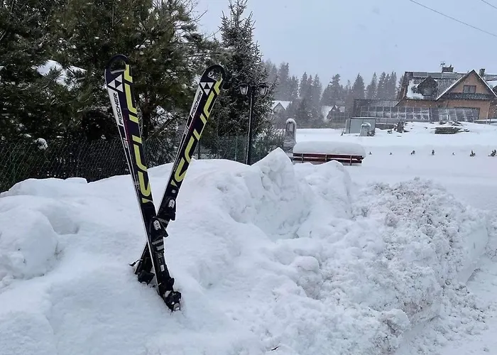 فندق مبيت وإفطار Pieninska Ostoja تشورشتن